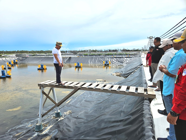 Gubernur Optimis Program Shrimp Estate Dapat Memajukan Sektor Kelautan dan Perikanan di Kalteng