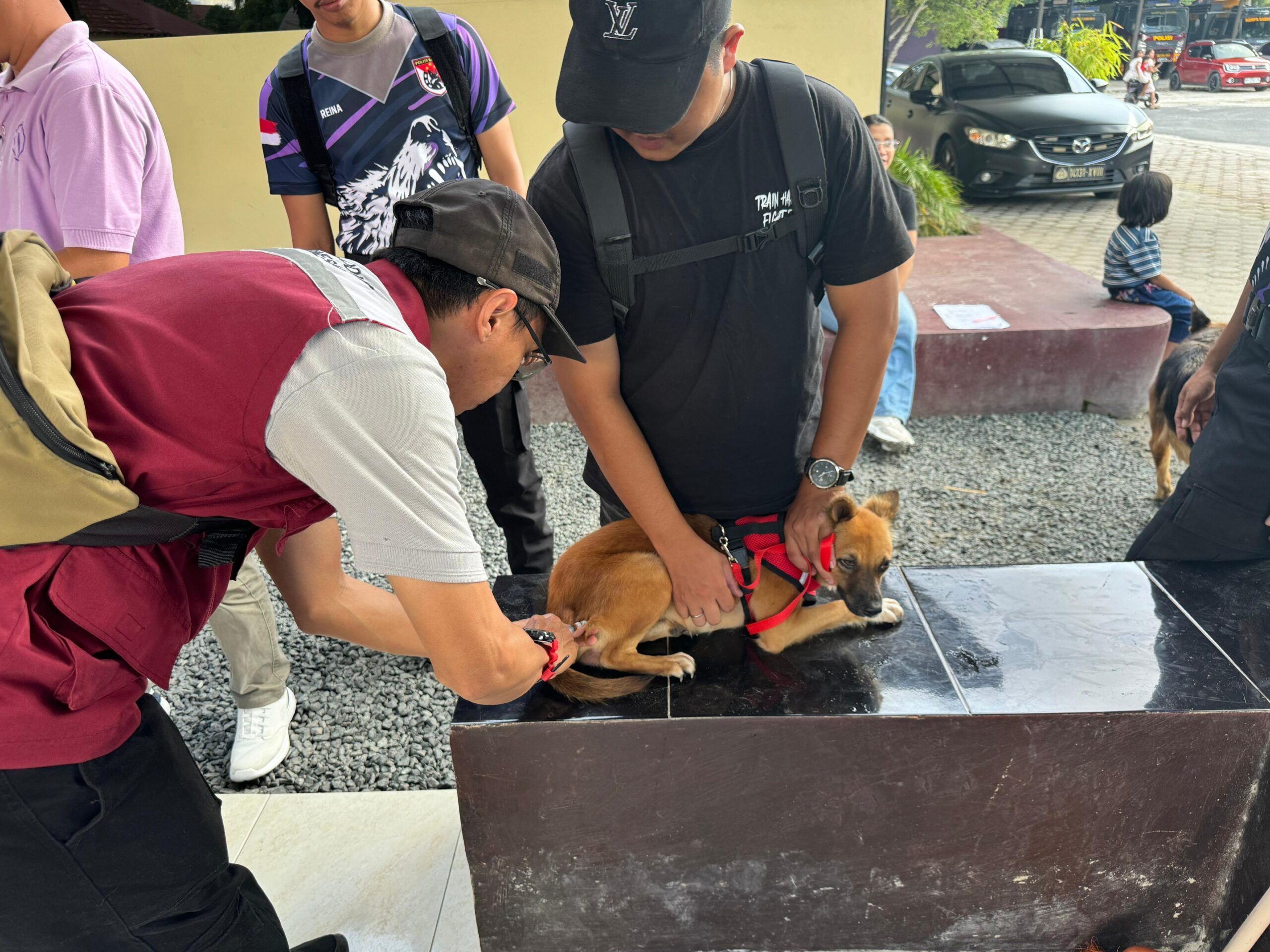 Peduli Terhadap Satwa, Ditsamapta Polda Kalteng Laksanakan Coaching Clinic Bersama PDHI dan Relawan RSAT Palangka Raya