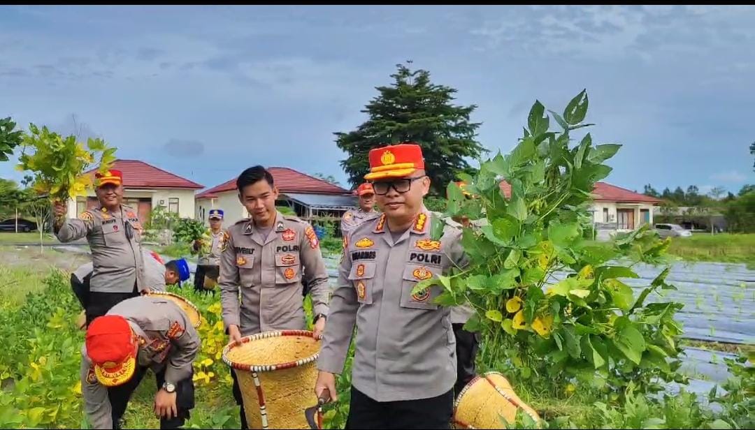 Dukung Swasembada Pangan, Ka SPN Polda Kalteng Panen Kedelai dan Jagung 2 Ton
