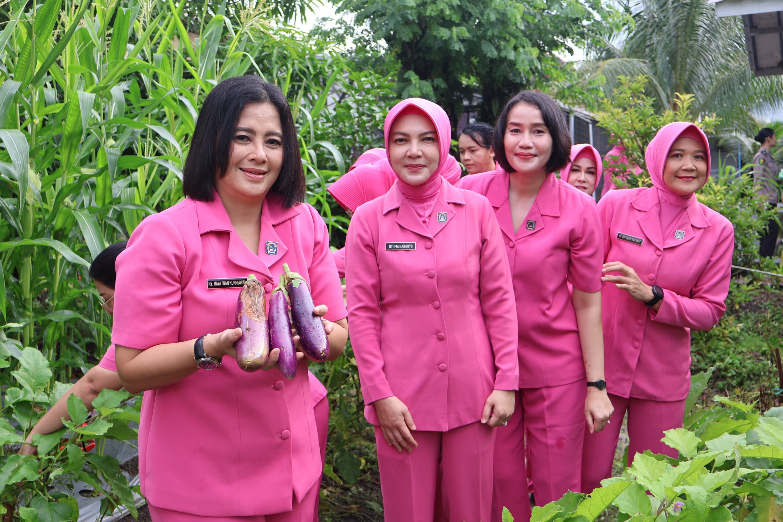 Dukung Ketahanan Pangan, Polda Kalteng Bersama Bhayangkari Panen Ikan dan Sayuran Hidroponik