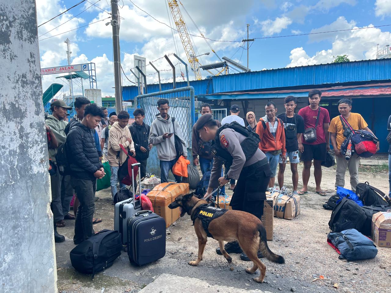 Antisipasi Barang Berbahaya, K9 Ditsamapta Polda Kalimantan Tengah Lakukan Deteksi Narkotika di Pelabuhan Mentaya