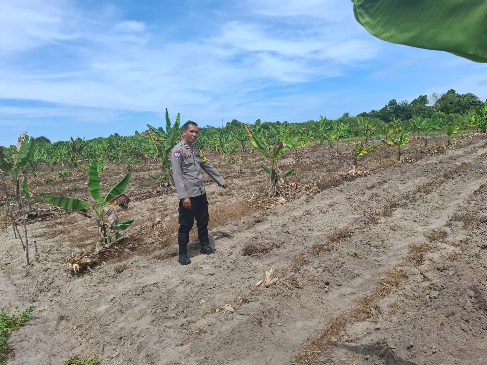 Dukung Ketahanan Pangan, Polsek Bukit Batu Tinjau Kesiapan Lahan Tanam Jagung di Tumbang Tahai