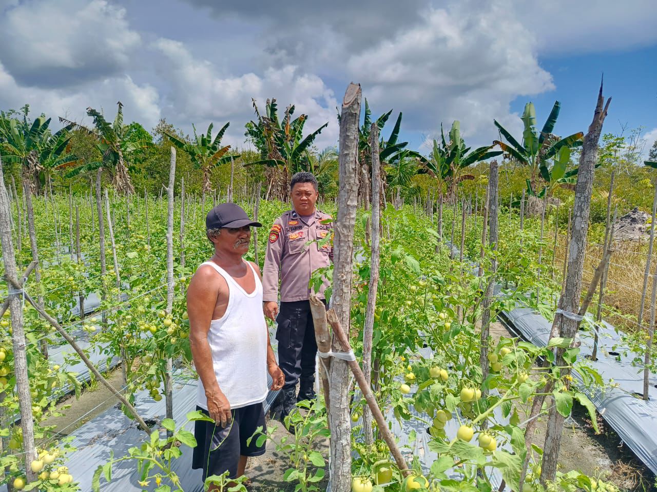 Dekatkan Diri dengan Warga, Bhabinkamtibmas Polsek Rakumpit Sambangi Kebun Petani Sayuran