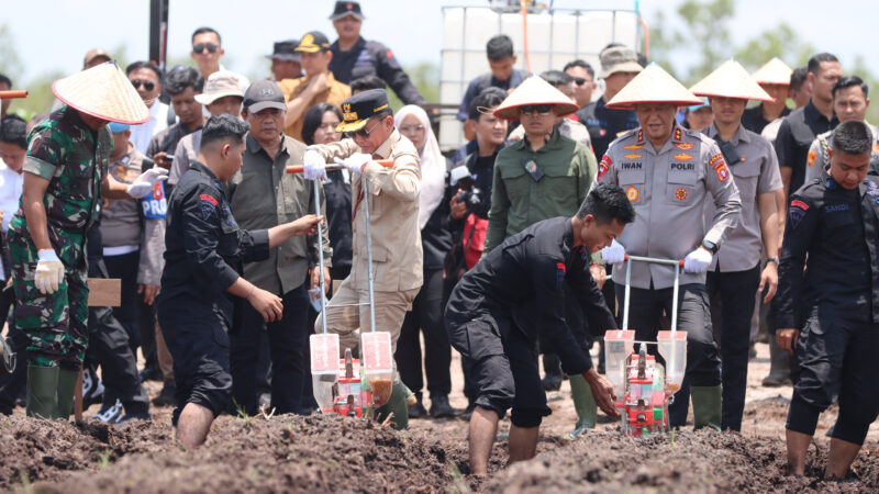Komitmen Dukung Ketahanan Pangan Nasional, Kapolda Kalteng Targetkan 136 Hektare Lahan Siap Ditanami Jagung di Kuartal IV