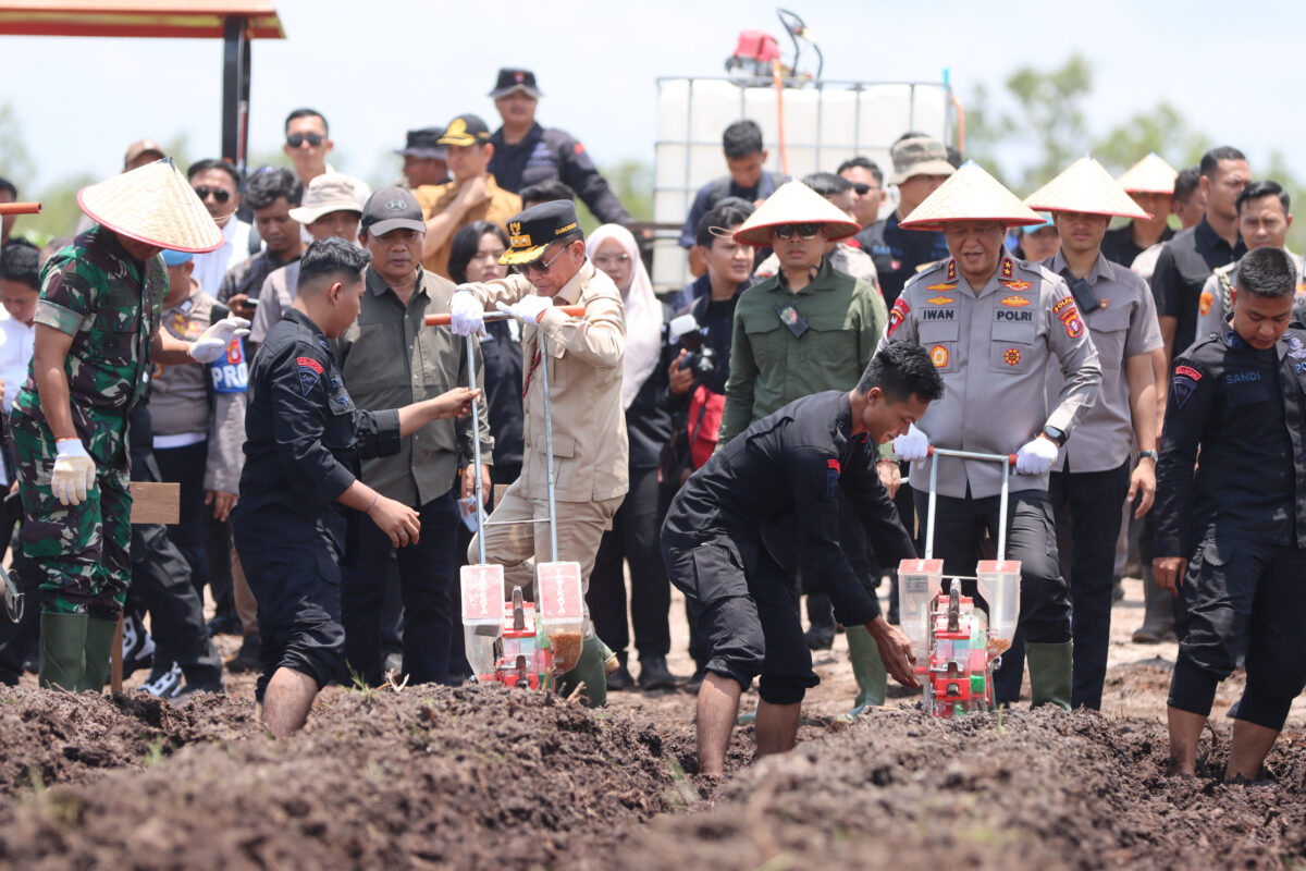 Komitmen Dukung Ketahanan Pangan Nasional, Kapolda Kalteng Targetkan 136 Hektare Lahan Siap Ditanami Jagung di Kuartal IV