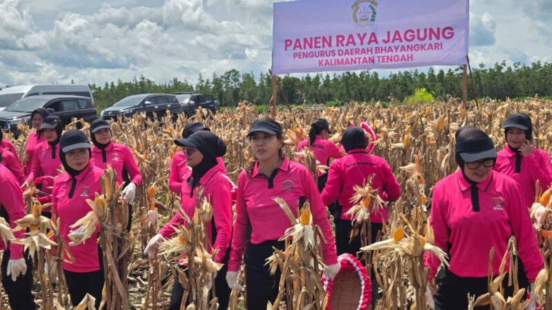 Polsek Rakumpit Dukung Panen Raya dan Penanaman Jagung Polda Kalteng di Lahan Kelompok Tani Elea Farm