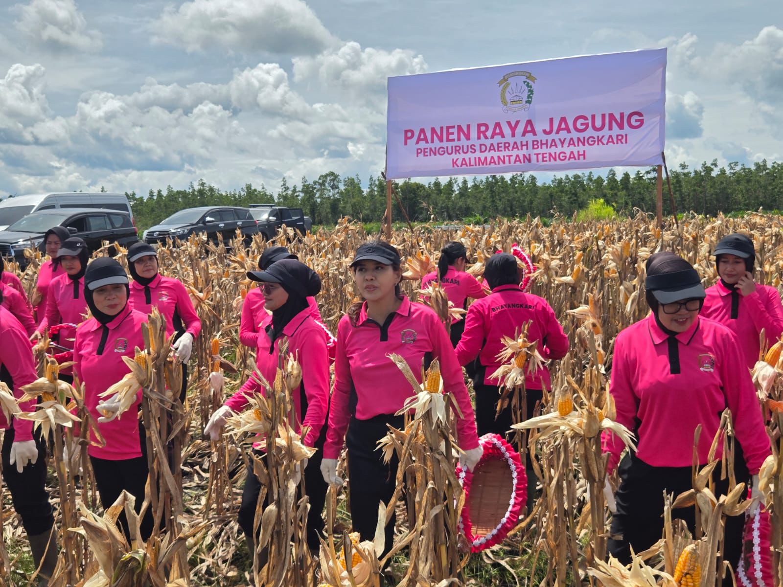 Polsek Rakumpit Dukung Panen Raya dan Penanaman Jagung Polda Kalteng di Lahan Kelompok Tani Elea Farm
