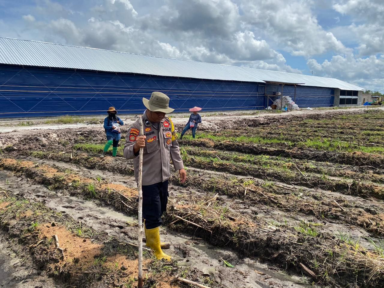 Dukung Ketahanan Pangan, Polsek Rakumpit Tanam Jagung Bersama Kelompok Tani di Pager