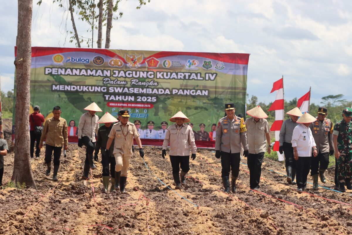 Bersama Gubernur, Kapolda Kalteng Tanam Jagung Perdana Kuartal IV di Kapuas