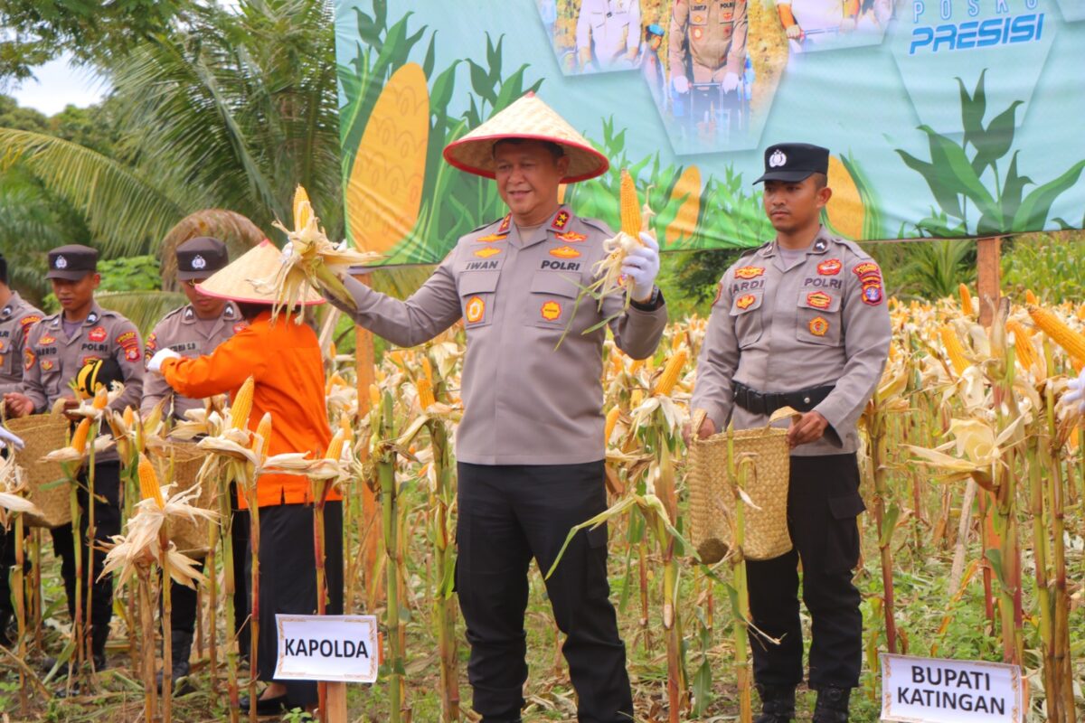 Dukung Ketahanan Pangan, Kapolda Kalteng Panen Raya Jagung Serentak Kuartal IV di Katingan