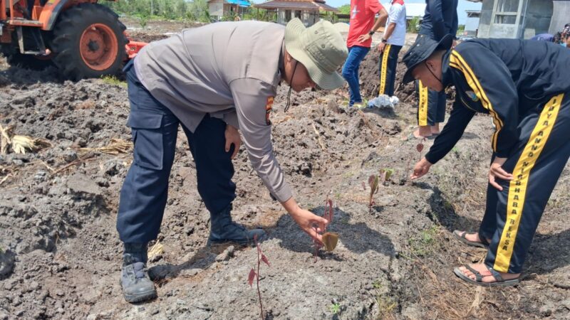 Dukung Ketahanan Pangan, Polsek Rakumpit Pantau Perkembangan Tanam Ubi Ungu di Elea Farm