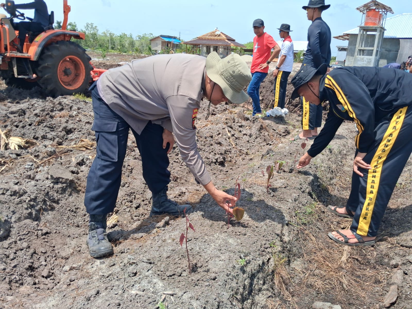 Dukung Ketahanan Pangan, Polsek Rakumpit Pantau Perkembangan Tanam Ubi Ungu di Elea Farm