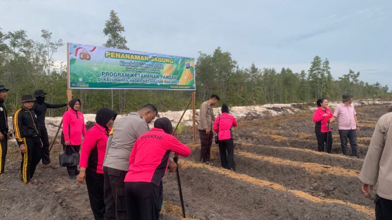 Bersama Bhayangkari dan Kelompok Tani, Polsek Rakumpit Tanam Jagung di Kelurahan Pager