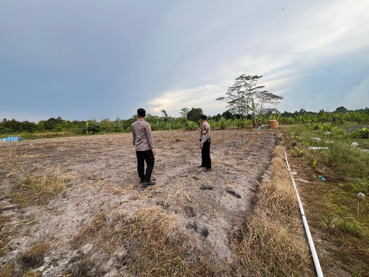 Siapkan Penanaman Jagung Kuartal I, Polsek Bukit Batu Cek Lahan Binaan di Tumbang Tahai