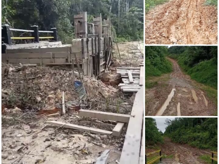 Pembangunan Desa Muara Pari Disorot Warga, Balai Desa Mangkrak dan Jembatan Jalan Meranti Tak Kunjung Rampung