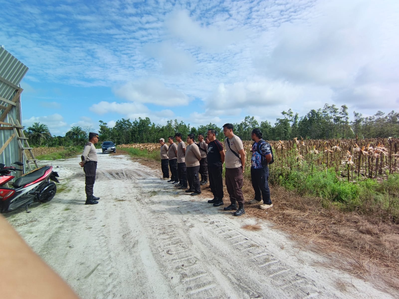 Di Perkebunan Elea Farm, Kapolsek Rakumpit Pimpin Panen Jagung Lanjutan