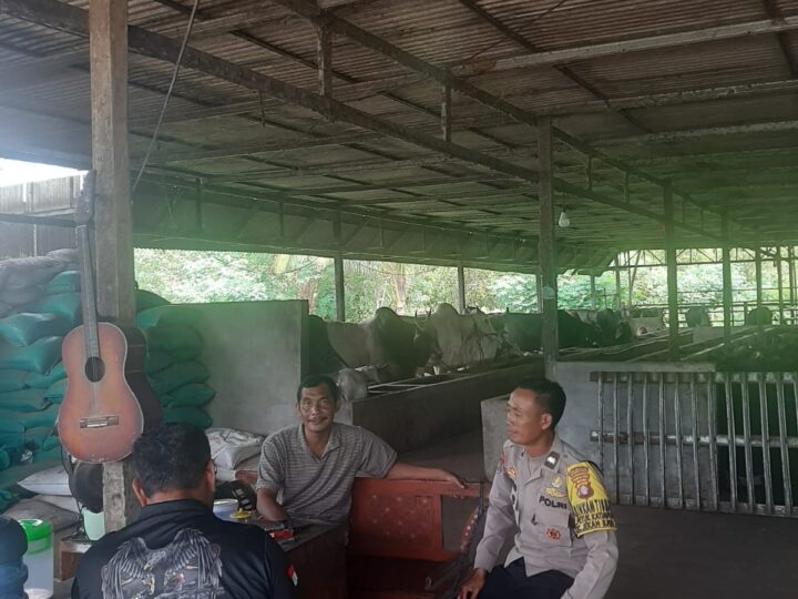 Sambang Peternak Sapi, Bhabinkamtibmas Petuk Katimpun Pantau Ketersediaan Hewan Kurban