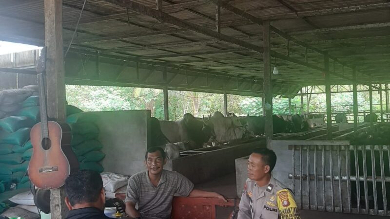 Sambang Peternak Sapi, Bhabinkamtibmas Petuk Katimpun Pantau Ketersediaan Hewan Kurban