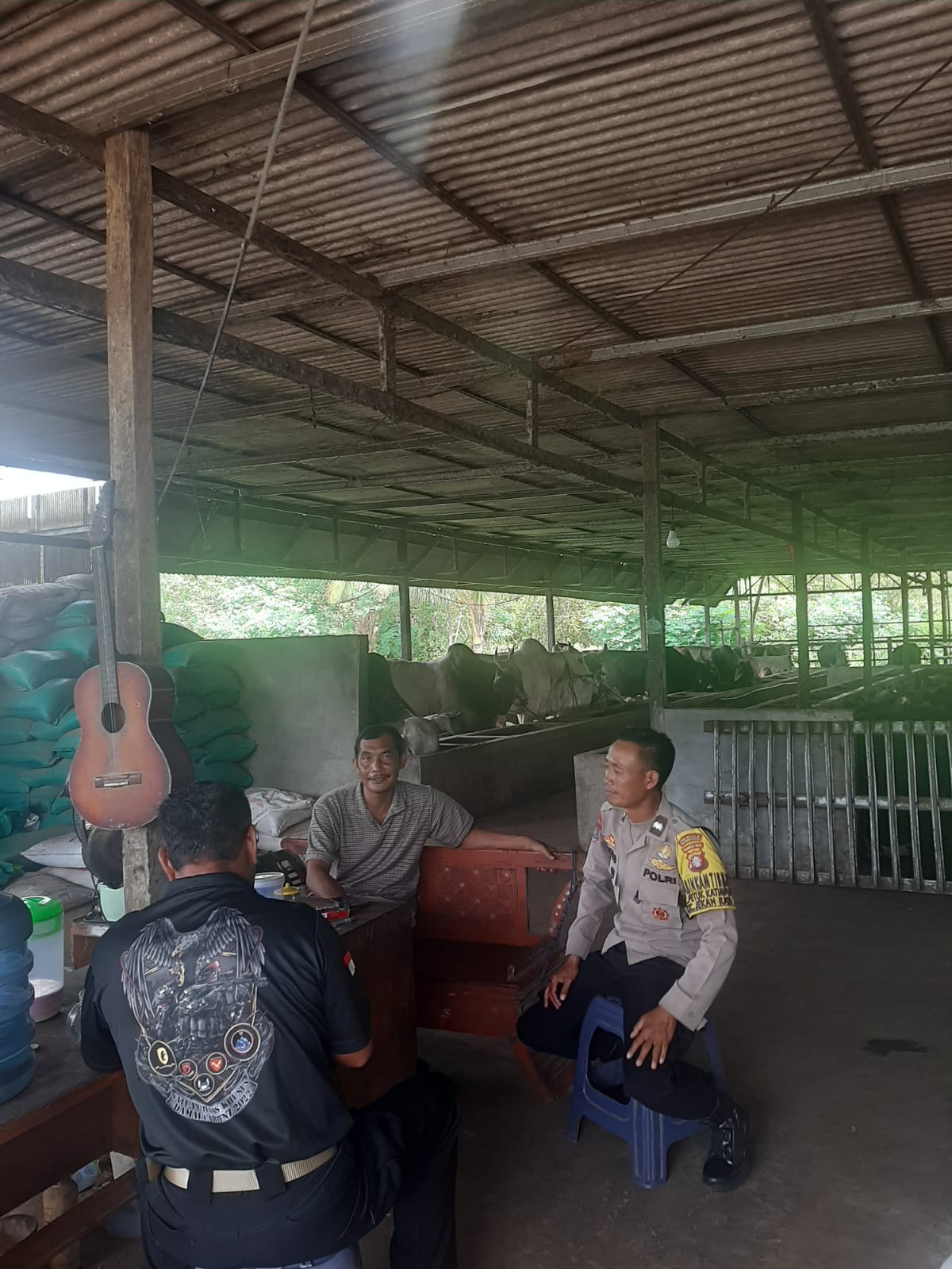 Sambang Peternak Sapi, Bhabinkamtibmas Petuk Katimpun Pantau Ketersediaan Hewan Kurban