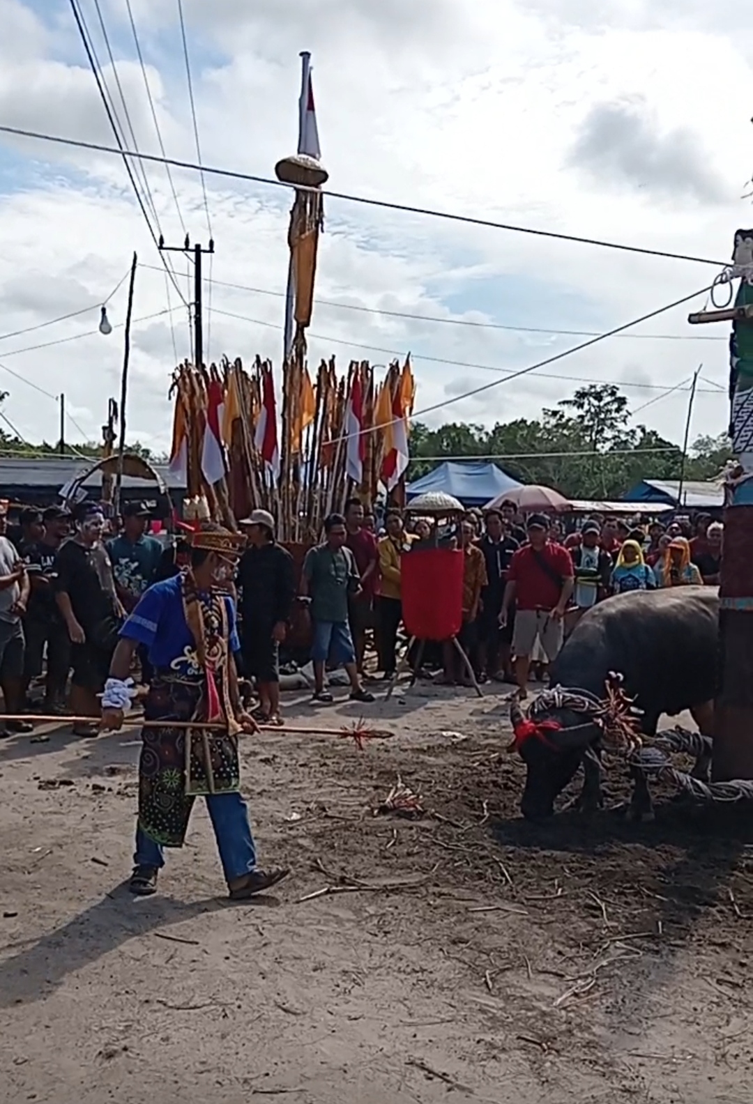 Sakral dan Penuh Makna, Umat Hindu Kaharingan Empat Desa Laksanakan Tiwah Massal dengan 20 Kerbau Kurban