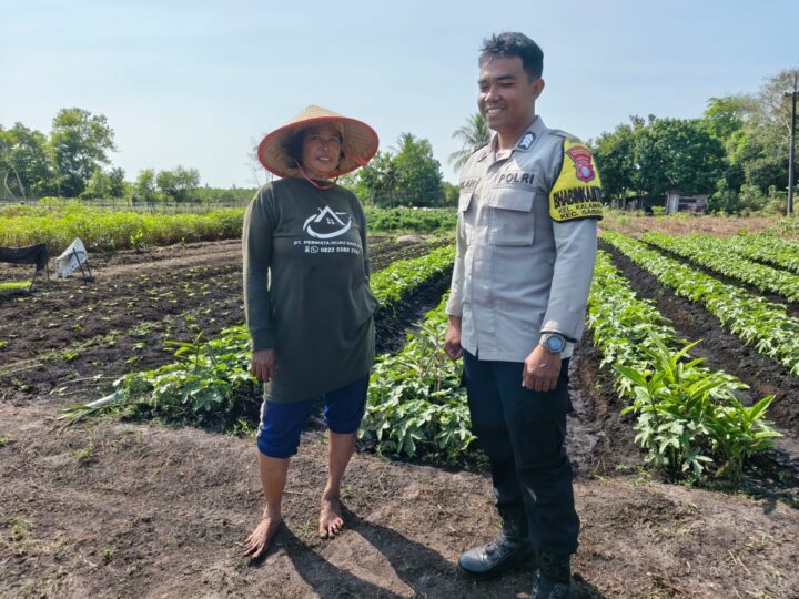 Ketika DDS, Bhabinkamtibmas Polsek Sabangau Ajak Warga Kalampangan Jaga Kamtibmas