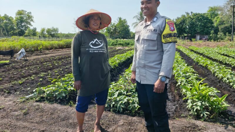 Ketika DDS, Bhabinkamtibmas Polsek Sabangau Ajak Warga Kalampangan Jaga Kamtibmas