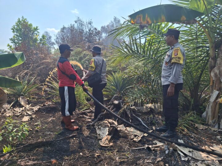 Cek Titik Hotspot, Polsek Pahandut Bersama Tim Gabungan Lakukan Pemadaman Karhutla