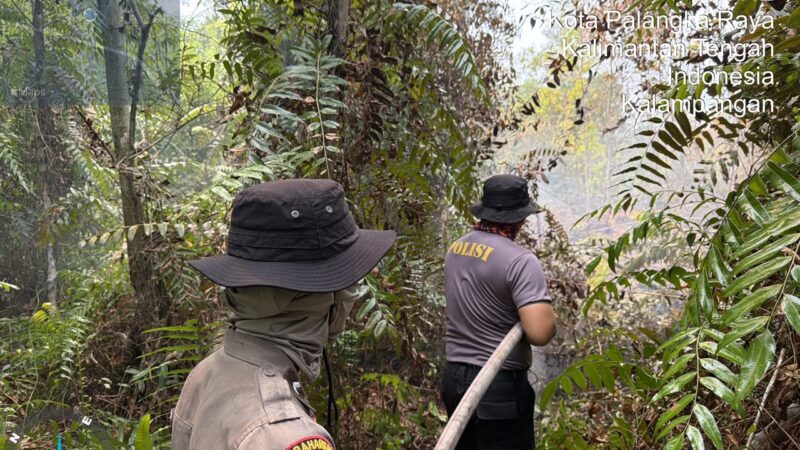 Cegah Api Kembali Membara, Personel Dirsamapta Lakukan Pembasahan Lahan di Kalampangan