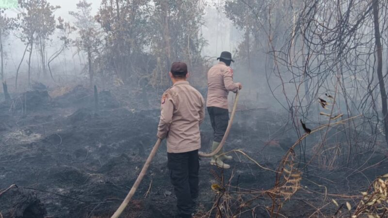 Satgas Aman Nusa II Polresta Palangka Raya Lakukan Pemadaman Lanjutan Karhutla di Kawasan Hiu Putih