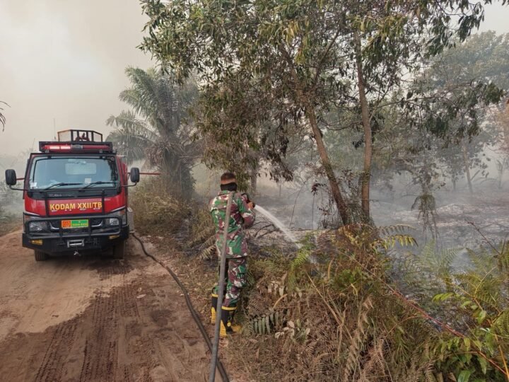 Aksi Cepat Satgas Karhutla Kodim 1016/Plk Bersama Tim Gabungan Padamkan Kebakaran Lahan di Palangka Raya