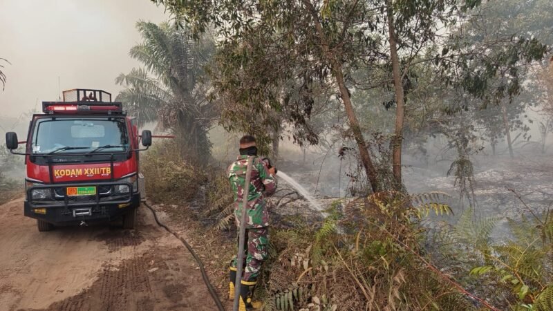 Aksi Cepat Satgas Karhutla Kodim 1016/Plk Bersama Tim Gabungan Padamkan Kebakaran Lahan di Palangka Raya