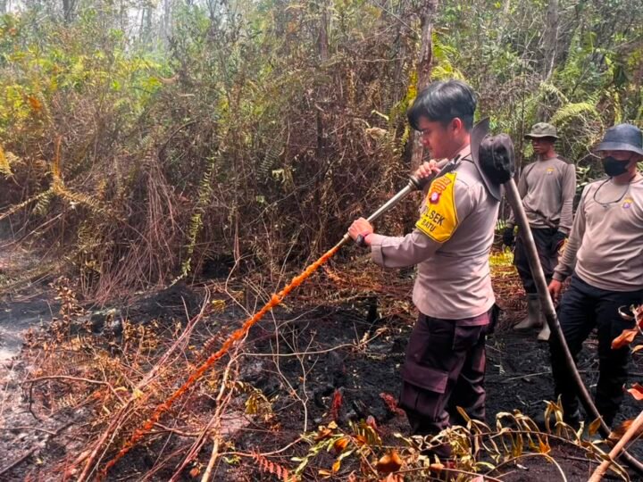 Di Kelurahan Marang, Personel Polsek Bukit Batu Berjibaku Padamkan Karhutla