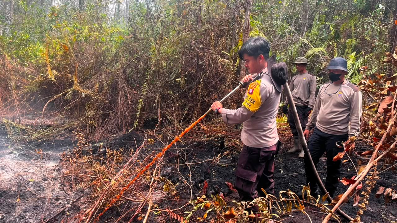 Di Kelurahan Marang, Personel Polsek Bukit Batu Berjibaku Padamkan Karhutla