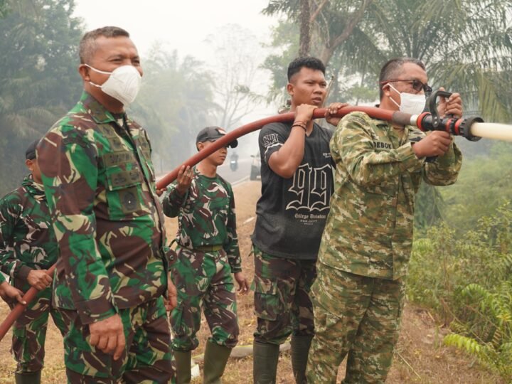 Kasdam Xxii/Tb Tinjau Langsung Penanganan Karhutla Di Km 21 Palangka Raya