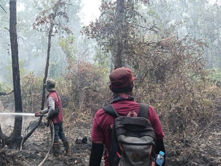 TTA Group Dukung Pemadaman hingga Pendinginan Karhutla di Kapuas