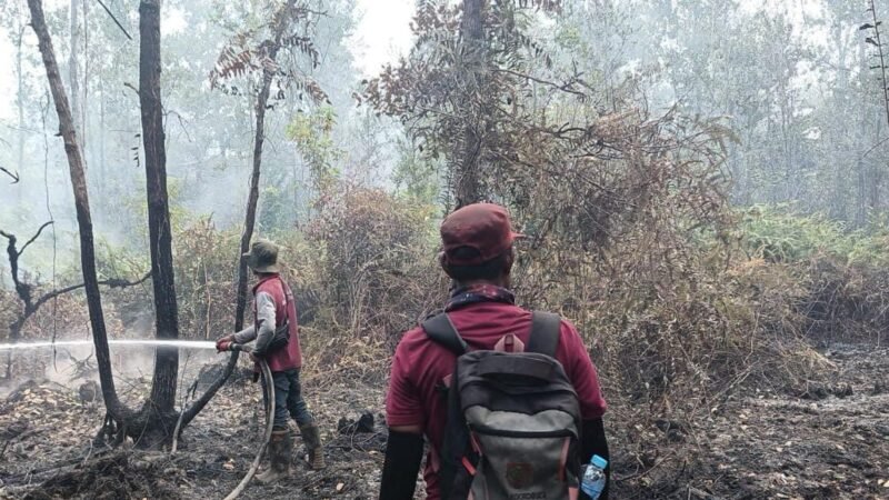 TTA Group Dukung Pemadaman hingga Pendinginan Karhutla di Kapuas