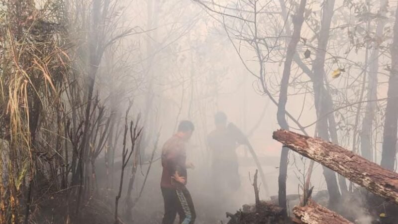 Tak Kenal Lelah, Perjuangan Personel Polda Kalteng Padamkan Api di Tengah Kepulan Asap