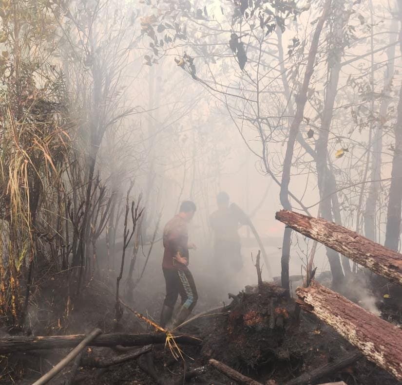 Tak Kenal Lelah, Perjuangan Personel Polda Kalteng Padamkan Api di Tengah Kepulan Asap