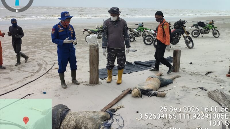 Ditpolairud Evakuasi Tiga Jenazah Diduga Korban KM Virgo Transport 8 di Seruyan