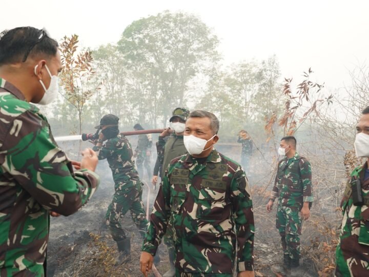 Pangdam XXII/Tambun Bungai Tinjau Karhutla dengan Drone Termal di Tjilik Riwut KM 21