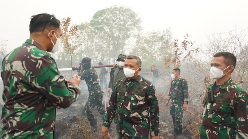 Pangdam XXII/Tambun Bungai Tinjau Karhutla dengan Drone Termal di Tjilik Riwut KM 21