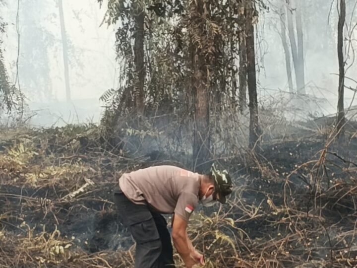 Satgas Karhutla Regu I Padamkan dan Dinginkan Lahan Terbakar di Petuk Ketimpun