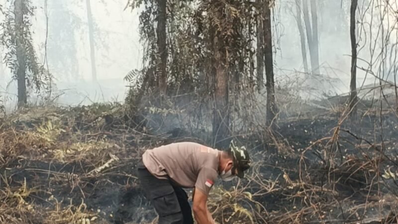 Satgas Karhutla Regu I Padamkan dan Dinginkan Lahan Terbakar di Petuk Ketimpun