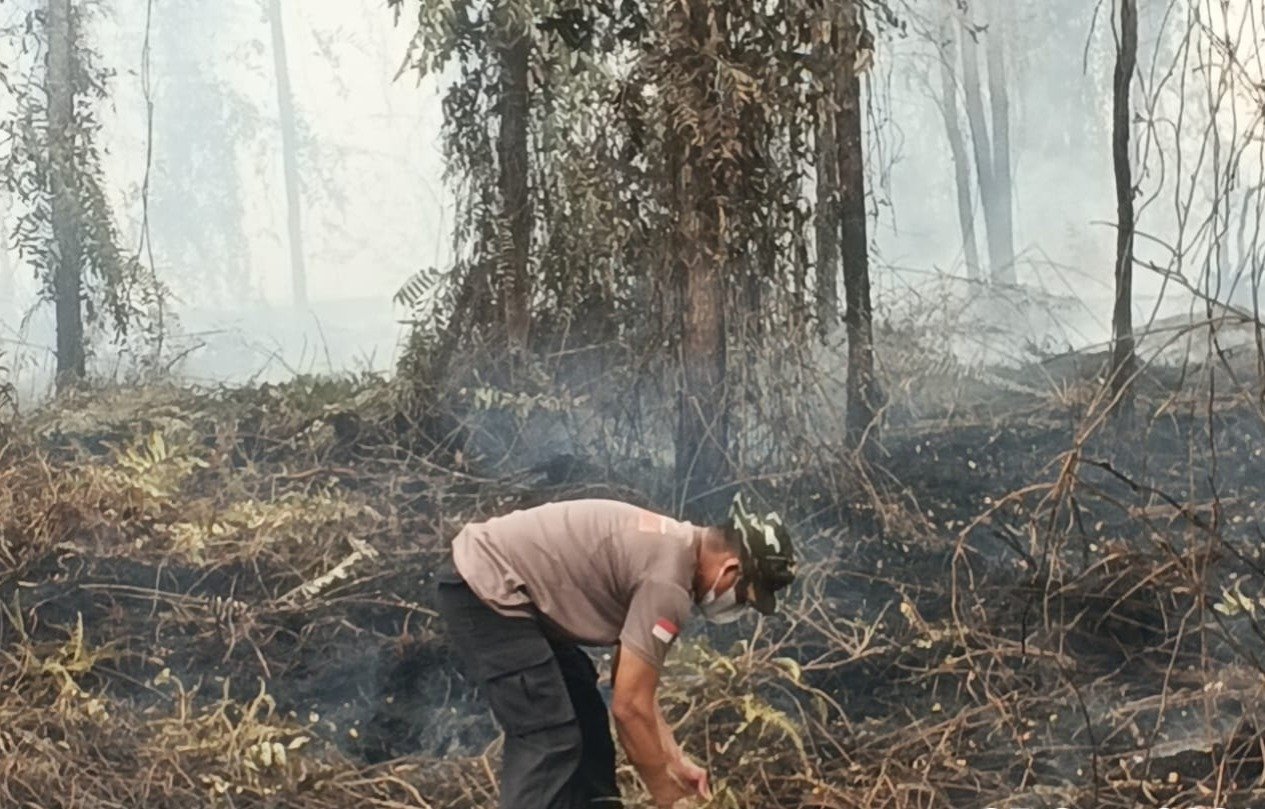 Satgas Karhutla Regu I Padamkan dan Dinginkan Lahan Terbakar di Petuk Ketimpun