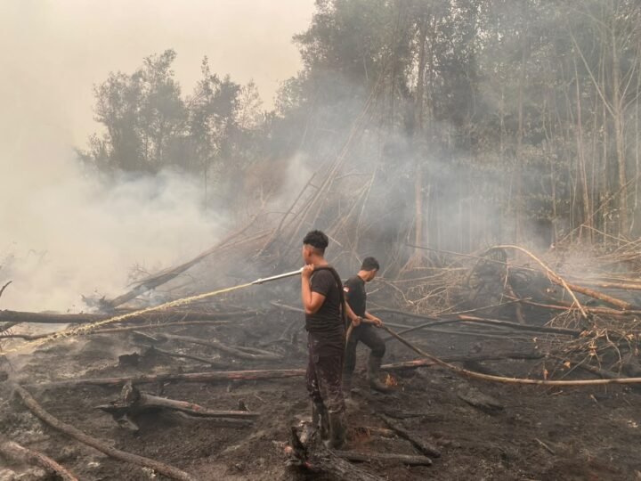 Satbrimob Polda Kalteng Padamkan Api Sekaligus Buka Akses Jalan di Km 36 Tjilik Riwut