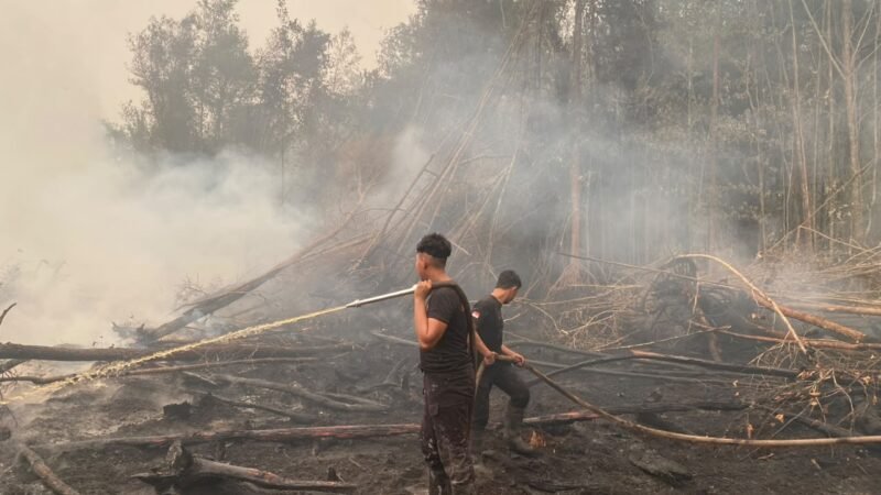 Satbrimob Polda Kalteng Padamkan Api Sekaligus Buka Akses Jalan di Km 36 Tjilik Riwut