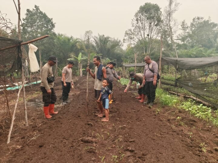 Dukung Ketahanan Pangan, Polsek Sabangau Tanam Jagung di Kalampangan
