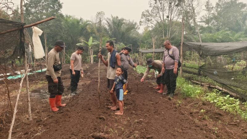 Dukung Ketahanan Pangan, Polsek Sabangau Tanam Jagung di Kalampangan