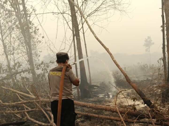 Antisipasi Api Kembali Menyala, Satgas Karhutla Lanjutkan Pendinginan di Bukit Tunggal