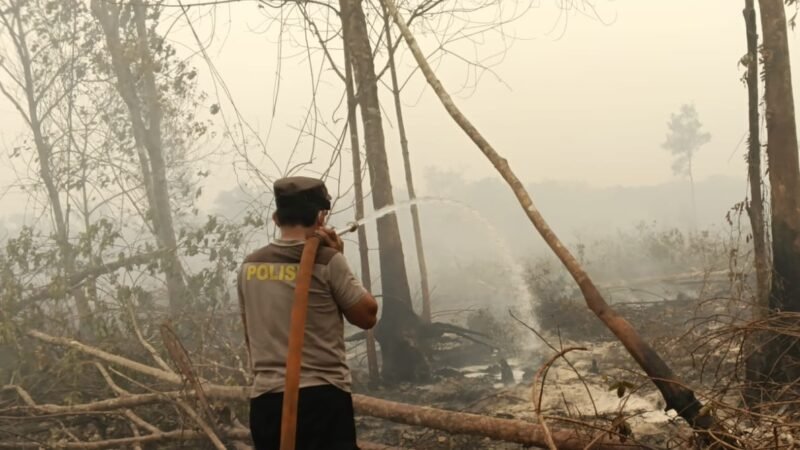 Antisipasi Api Kembali Menyala, Satgas Karhutla Lanjutkan Pendinginan di Bukit Tunggal